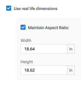 Use_Real_life_Dimensions_Setting.png