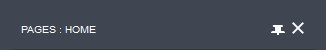 PushedInPinIcon.png
