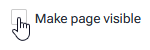 Make Page Visible Checkbox.png