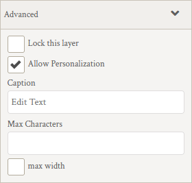 Text Personalization Options.png
