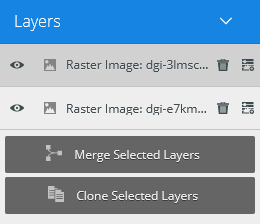 Layers Panel.png