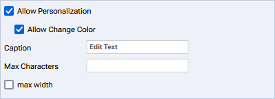 Text Element Personalization Options.png