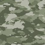 Color Swatch Image.png