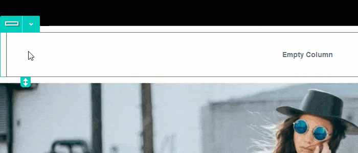 RowSettings.gif
