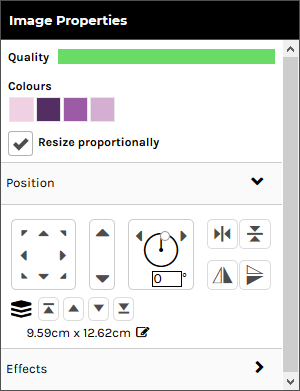 ImagePropertiesPanel.png