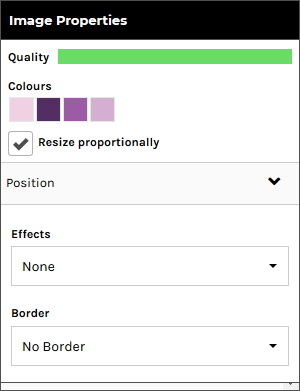 ImagePropertiesPanel-EffectsSection.png