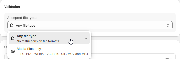 Validation Any File Type Option.png