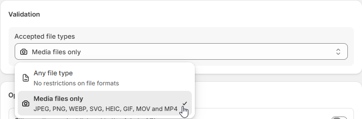 Validation Media Files Only Option.png