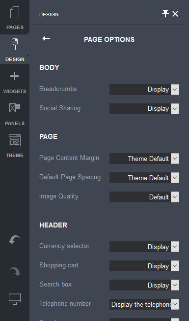 Page Options.png
